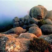 Cathedral Rock National Park