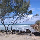 Evans Head