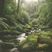 Five Day Creek