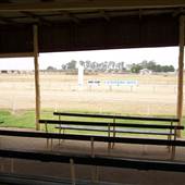 Hay Racecourse