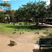 Jessie Street Gardens