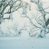 Kosciuszko National Park