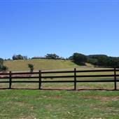 Plantations - Friday Hut Road