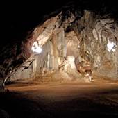 Wellington Caves Complex