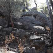 Georges River Nature Reserve