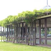 Centennial Homestead Dining