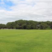 Centennial Park - Mission Fields