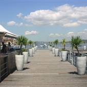Manly Wharf
