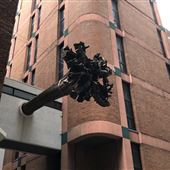 Underwood Ark - Sydney CBD