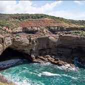 Munmorah State Conservation Area - Snapper Pt and Bongon Beach