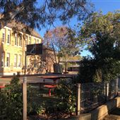 Paddington Public School