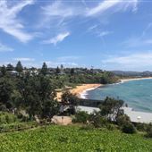 Beaches - Warriewood to Mona Vale