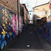 Froma Lane Street Art Gallery