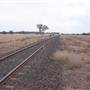 Dubbo (surrounds)