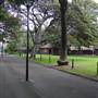 The Domain