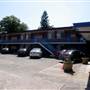 Ashfield Motor Inn