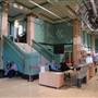 Australian Museum