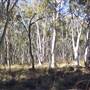 Bathurst Region