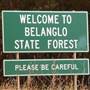 Belanglo State Forest