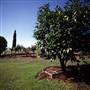 Albury