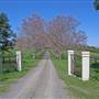 Alstonville