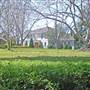 Alstonville
