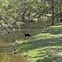 Armidale to Kempsey Road