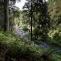 Bellinger Valley