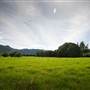 Bellinger Valley