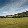 Bellinger Valley