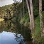 Bellinger Valley