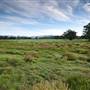 Bellinger Valley