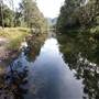 Bellinger Valley