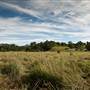 Bellinger Valley