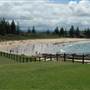 Bermagui