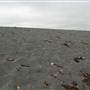 Black Sand Beach, Bass Point Reserve & Shell Cove