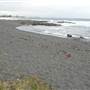 Black Sand Beach, Bass Point Reserve & Shell Cove