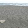 Black Sand Beach, Bass Point Reserve & Shell Cove
