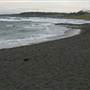 Black Sand Beach, Bass Point Reserve & Shell Cove