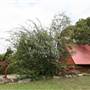 Bomaderry