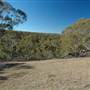 Bombala