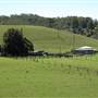 Bowraville
