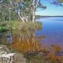 Northern Broadwater Picnic Area