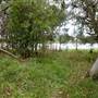 Cecil Hoskins Nature Reserve Moss Vale