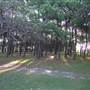 Centennial Park