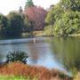 Centennial Park