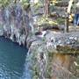 Dalwood Falls