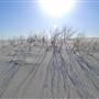 Dark Point Dunes
