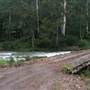 Darkwood Road, Thora