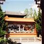 Chinese Garden of Friendship - Darling Harbour